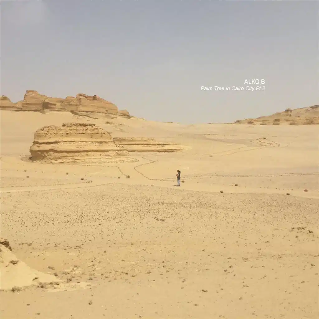 Palm Tree in Cairo City, Pt. 2 by Alko B Play on Anghami