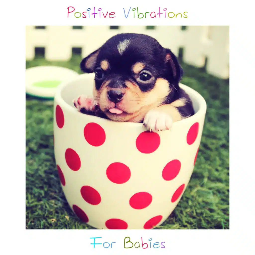 Positive Vibrations for Babies by Baby Music Center, Smart Baby