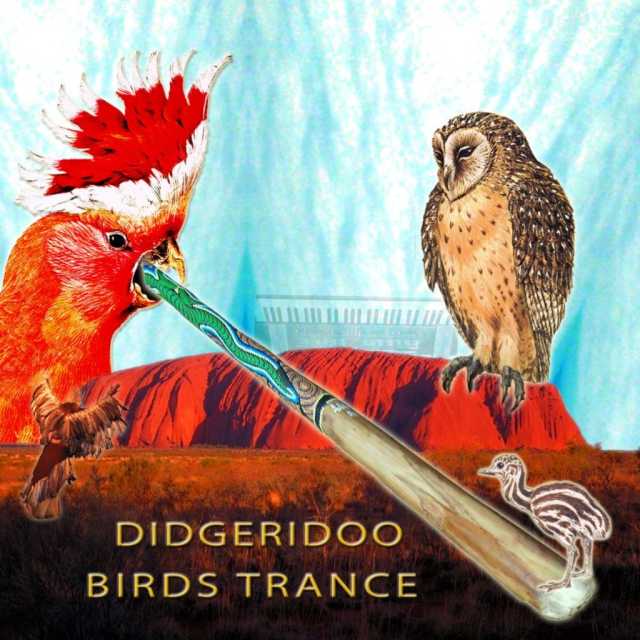 Didgeridoo Birds Dance (Naturally Groovy) by Various Artists | Play on  Anghami