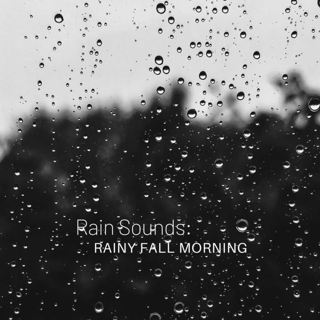 Rain Sounds: Rainy Fall Morning by Weather and Nature Recordings & Easy  Listening Background Music | Play on Anghami