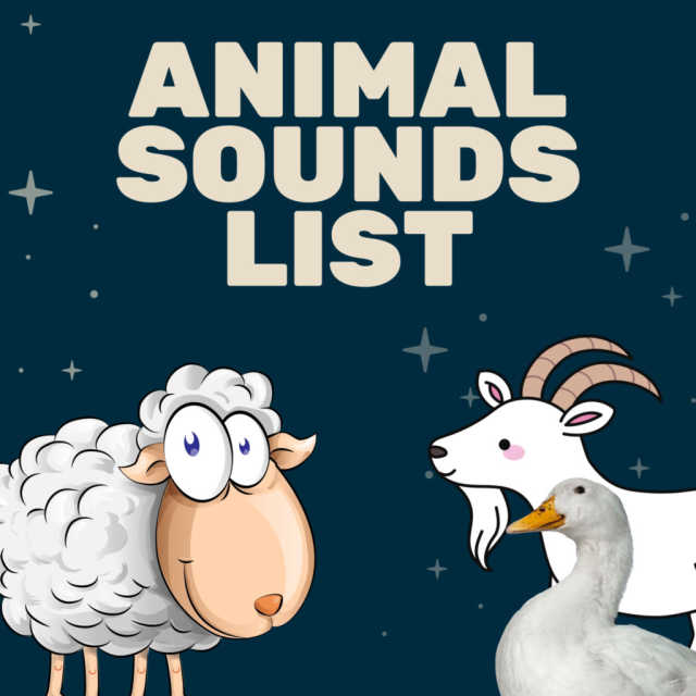 Animal Sings, Animals Noise & All Animal Sound - Animal Sounds For Kids |  Play on Anghami