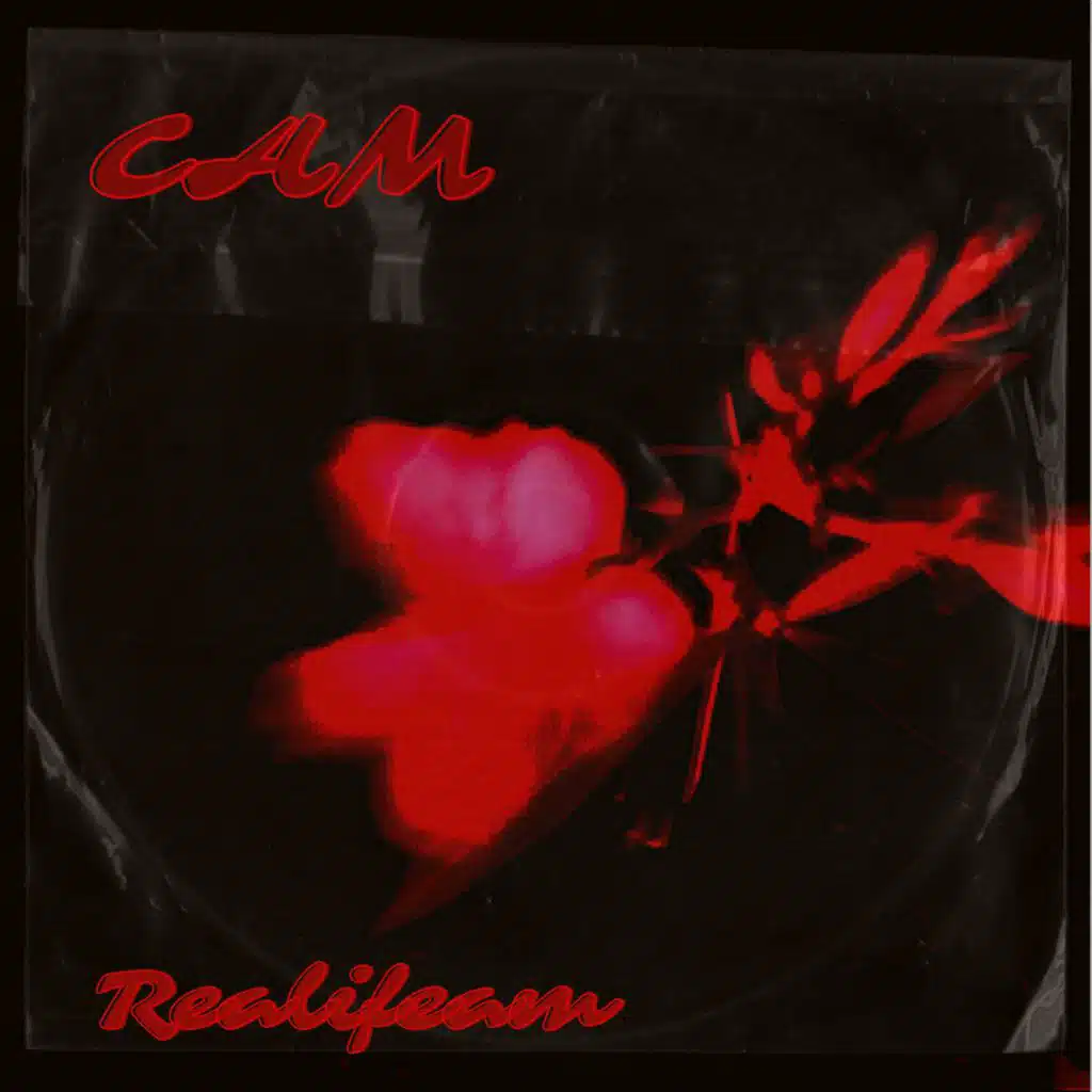 CAM by Realifecam | Play on Anghami