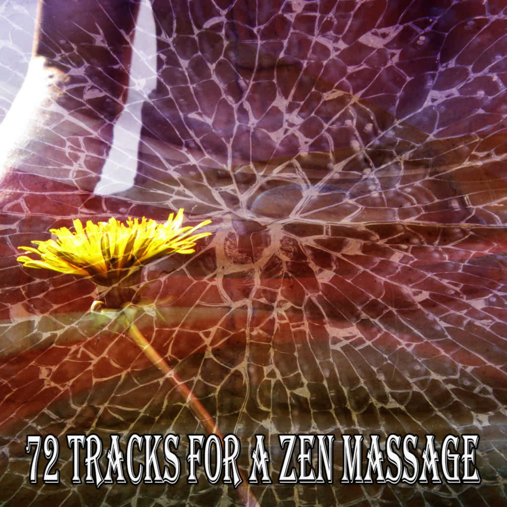 72 Tracks For A Zen Massage By White Noise Meditation Play On Anghami