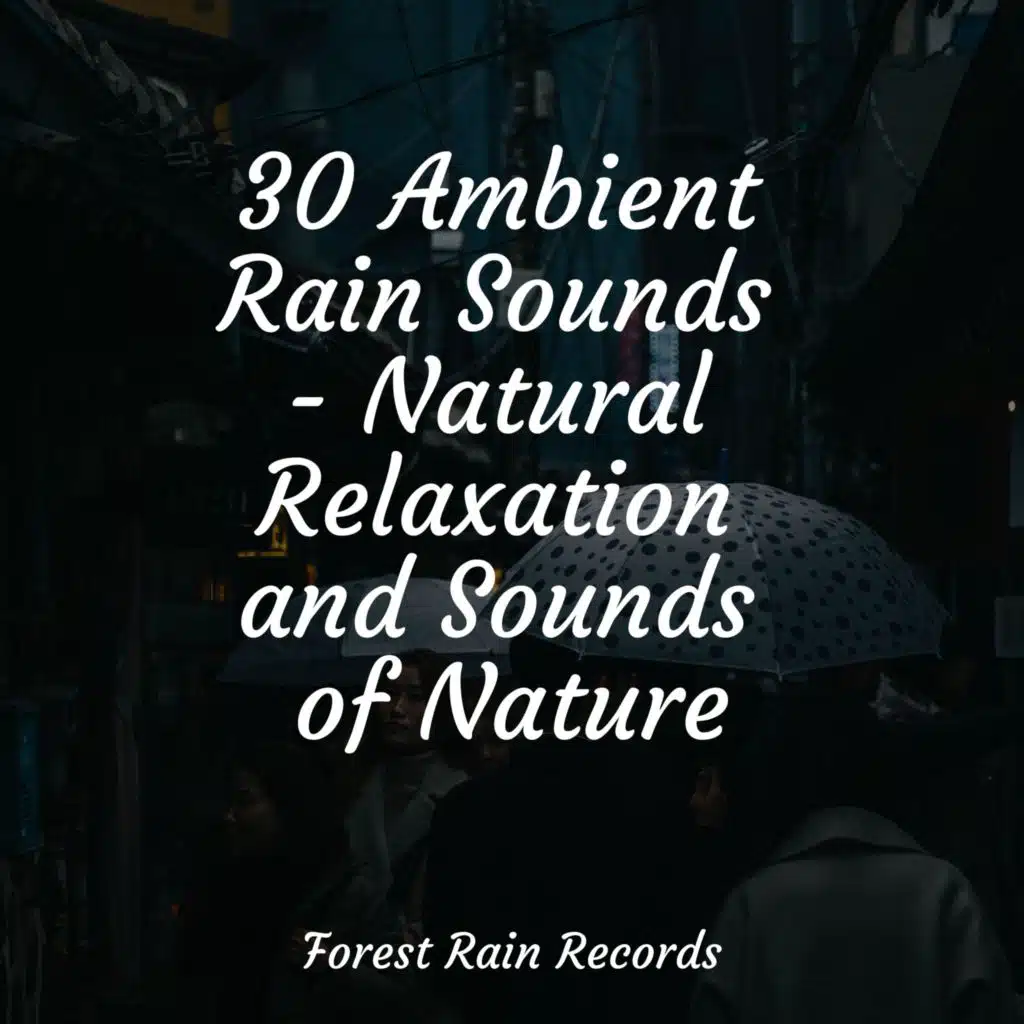 30 Ambient Rain Sounds Natural Relaxation and Sounds of Nature by