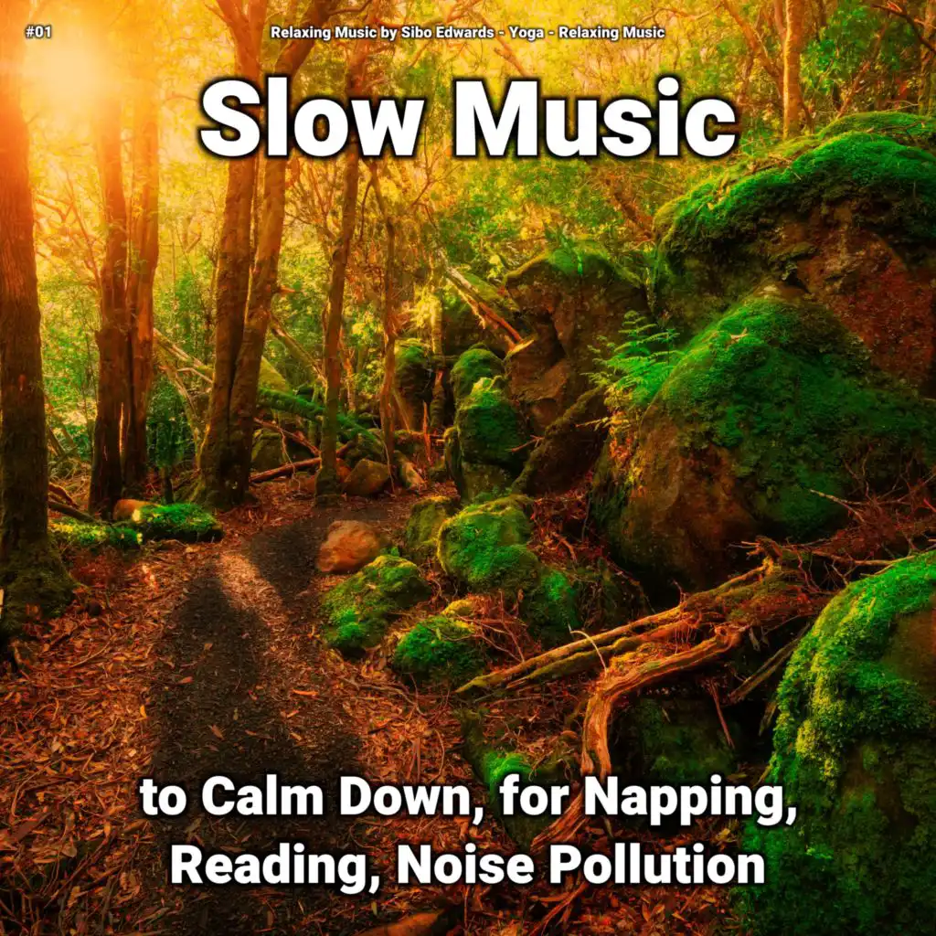 Relaxing Music by Sibo Edwards - Dreamy Background Music for Women | Play  on Anghami