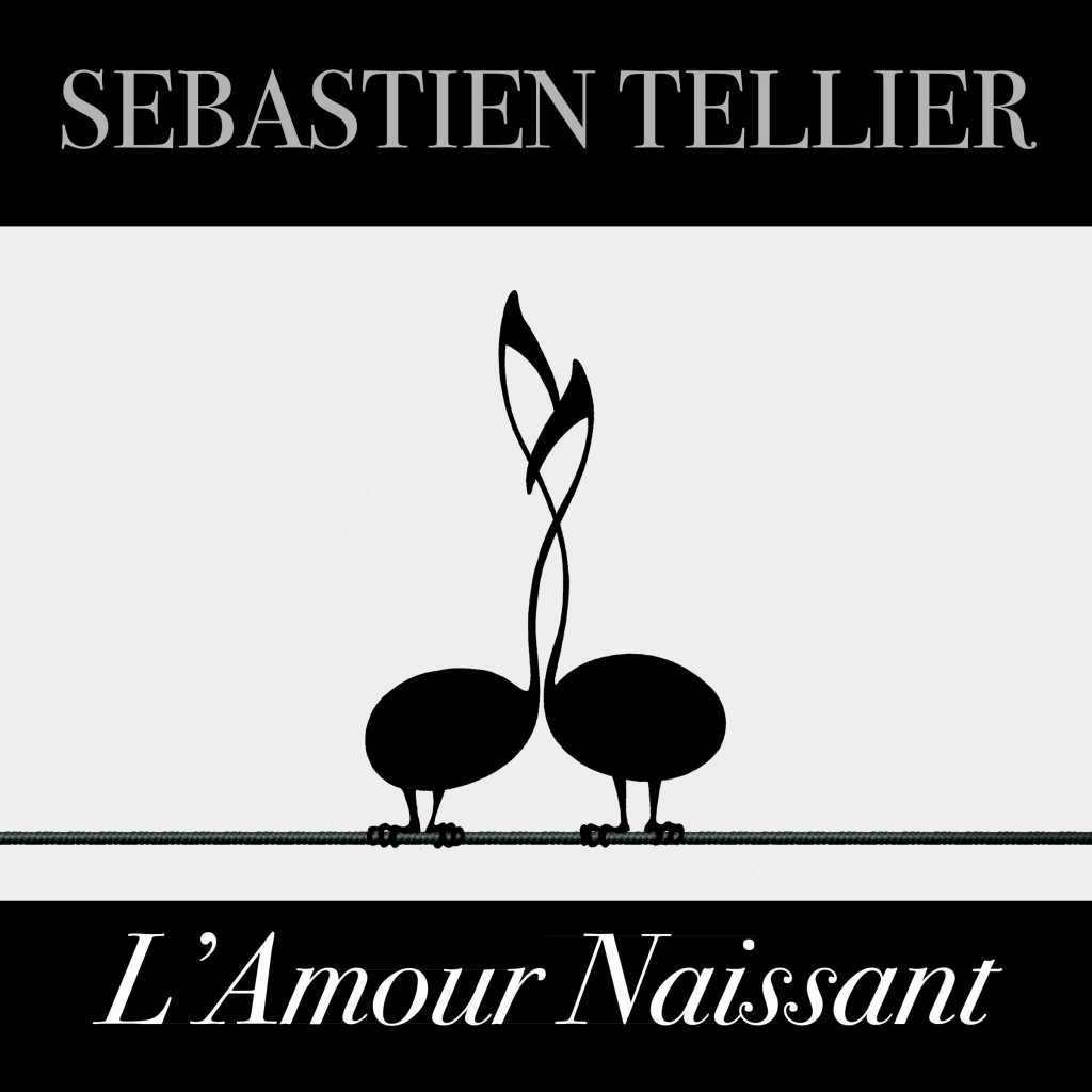 L Amour Naissant Single By Sebastien Tellier Play On Anghami