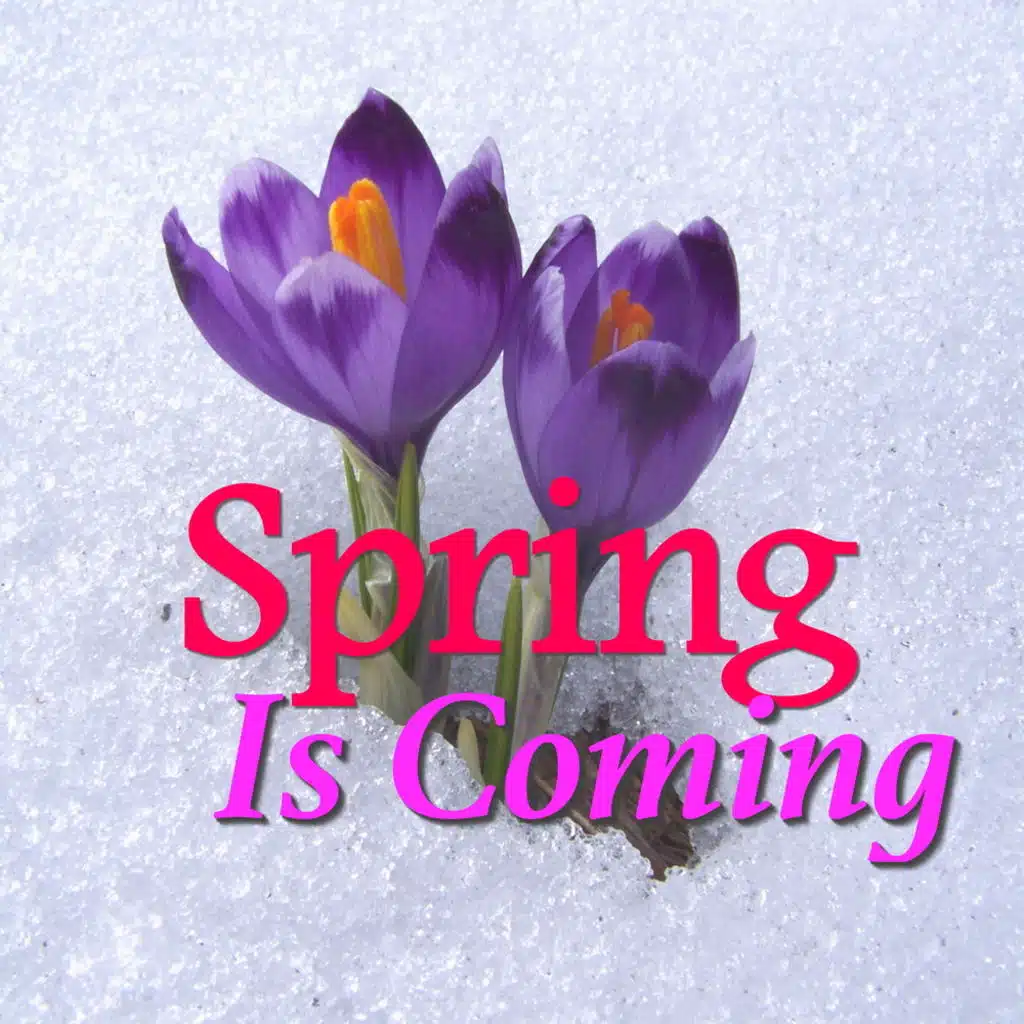 Spring to come. Spring to come