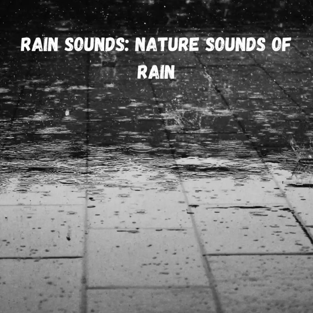 Rain Sounds: Nature Sounds of Rain by Weather and Nature Recordings & Easy  Listening Background Music | Play on Anghami