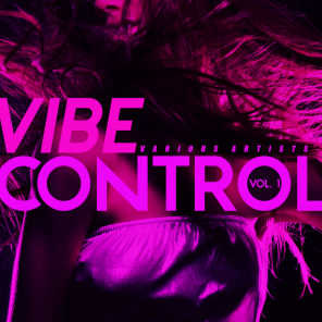Vibe Control, Vol. 1