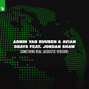 Armin van Buuren & AVIAN GRAYS
