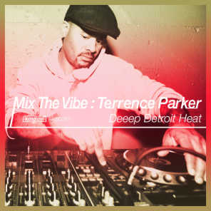 Mix The Vibe: Deeep Detroit Heat (Continuous DJ Mix)
