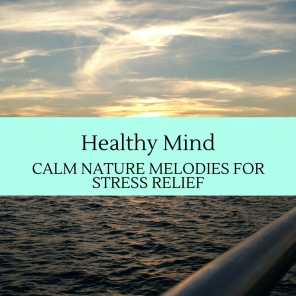 Healthy Mind - Calm Nature Melodies for Stress Relief