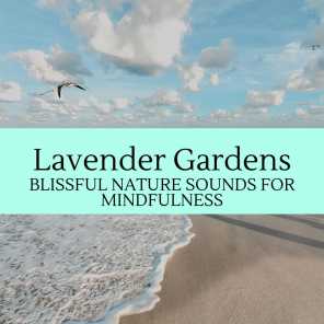 Lavender Gardens - Blissful Nature Sounds for Mindfulness