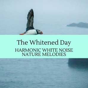 The Whitened Day - Harmonic White Noise Nature Melodies