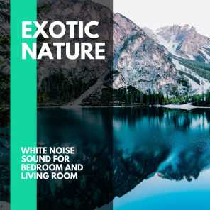 Exotic Nature - White Noise Sound for Bedroom and Living Room