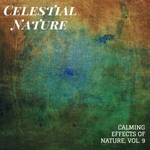 Celestial Nature - Calming Effects of Nature, Vol. 9