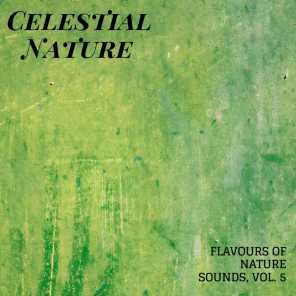 Celestial Nature - Flavours of Nature Sounds, Vol. 5