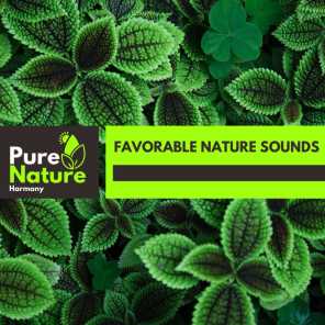 Favorable Nature Sounds