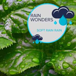 Rain Wonders - Soft Rain Rain