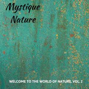 Mystique Nature - Welcome to The World of Nature, Vol. 2