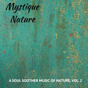 Mystique Nature - A Soul Soother Music of Nature, Vol. 2