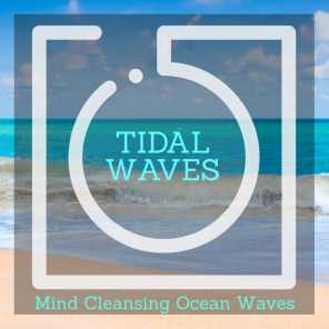 Tidal Waves - Mind Cleansing Ocean Waves