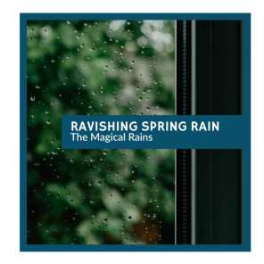 Ravishing Spring Rain - The Magical Rains
