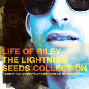 Life Of Riley - The Lightning Seeds Collection