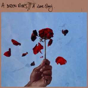 A Dozen Roses // A Love Story