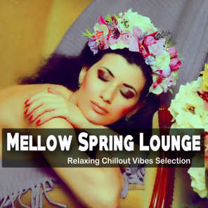 Mellow Spring Lounge (Relaxing Chillout Vibes Selection)