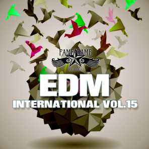 EDM International, Vol. 15
