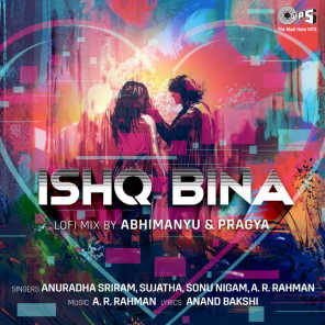 Ishq Bina (Lofi Mix)