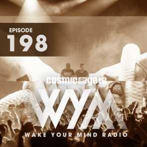 Wake Your Mind Radio 198 - Groove Cruise Set