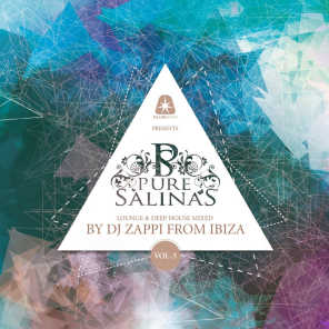 Pure Salinas, Vol. 5 (Compiled by DJ Zappi)