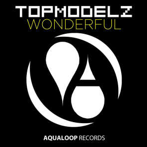 Wonderful (DJ Fait Remix)