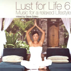 Lust for Life Vol.6 - Music For A Relaxed Lifestyle