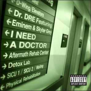 I Need A Doctor (feat. Eminem & Skylar Grey)