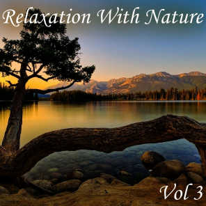Relaxation With Nature, Vol. 3