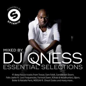 Essential Selections Mixed by DJ Qness