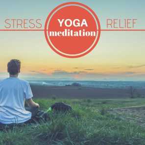 Yoga & Meditation Music