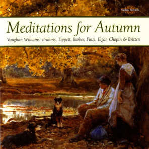 Meditations For Autumn